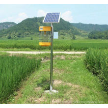 Lámpara Insecticida solar de alta eficiencia solar Lámpara solar de asesino de plagas Lámpara de asesino de mosquitos Solar